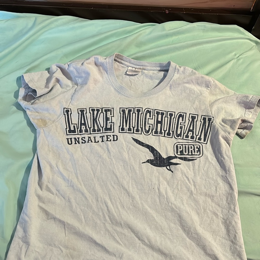 blue lake michigan top, worn a couple of times, basic t-shirt